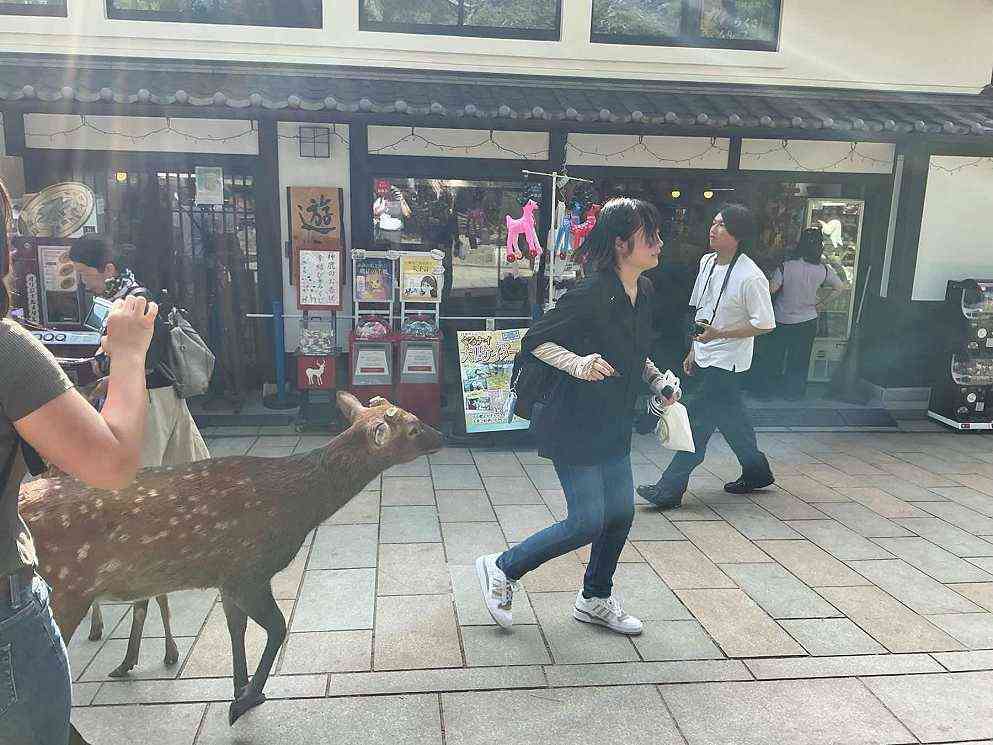 写真２